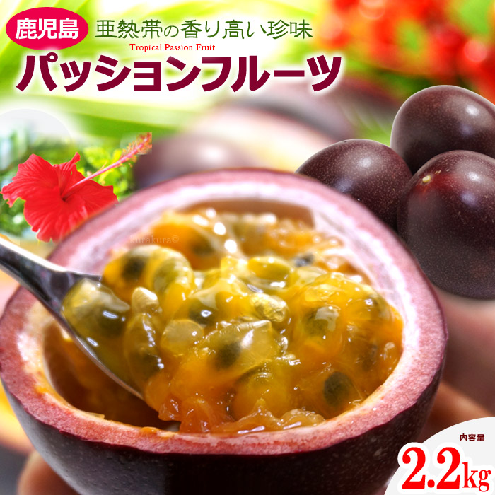 パッションフルーツ (22-30玉/約2.2kg) 鹿児島産 大玉 パッション ぱっしょん トロピカルフルーツ 高糖度 トケイソウ 食品 フルーツ 果物 パッションフルーツ 甘い 人気 男性 女性 喜ばれる 2025 送料無料
