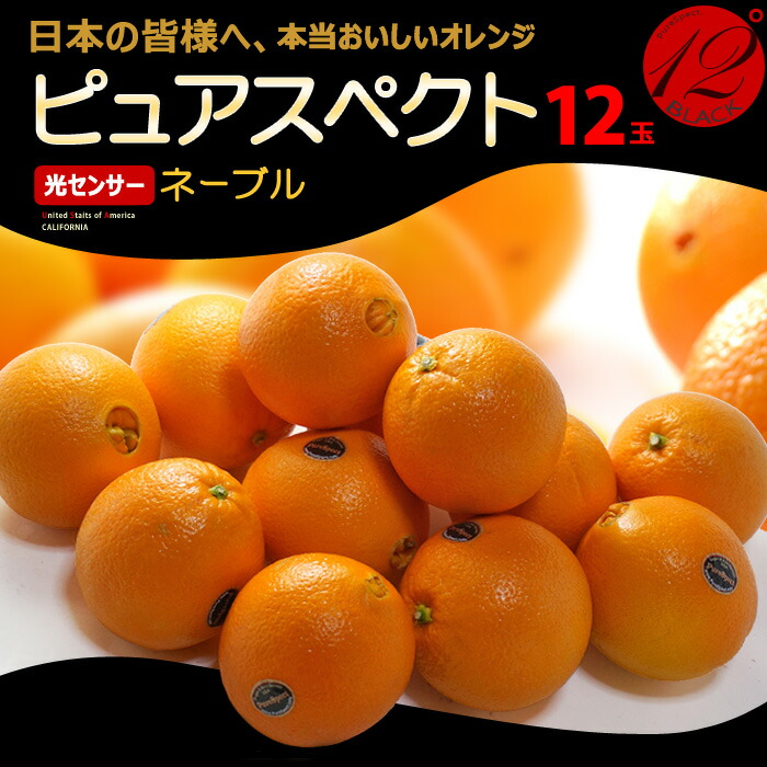 楽天市場】ピュアスペクト ブラック ネーブル 72玉 (約17kg