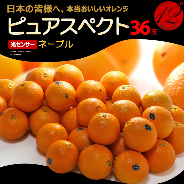 ピュアスペクト ブラック ネーブル 36玉 (約8.5kg) アメリカ産 糖度12度以上 カリフォルニア オレンジ ネーブル purespect black 柑橘 高糖度 甘い 食品 フルーツ 果物 みかん オレンジ navel orange 甘い 人気 男性 女性 喜ばれる 2025 送料無料