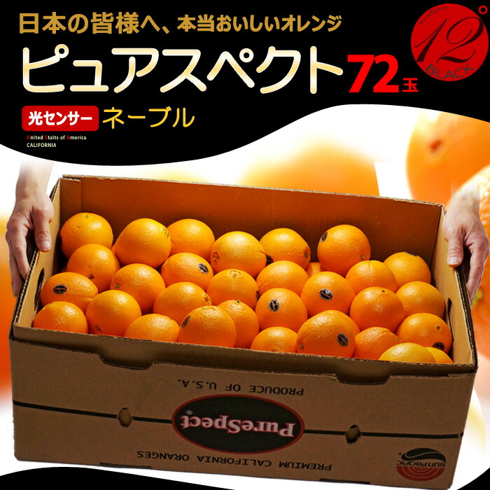 12度以上 オレンジ ネーブルオレンジ オレンジ ピュアスペクトブラック Purespect 食品 ピュアスペクトブラック 高糖度 カリフォルニア みかん Black ネーブル 高糖度 カリフォルニア産 柑橘 ネーブル 72玉 約17kg アメリカ産 糖度12度以上 オレンジ 甘い 食品 フルーツ