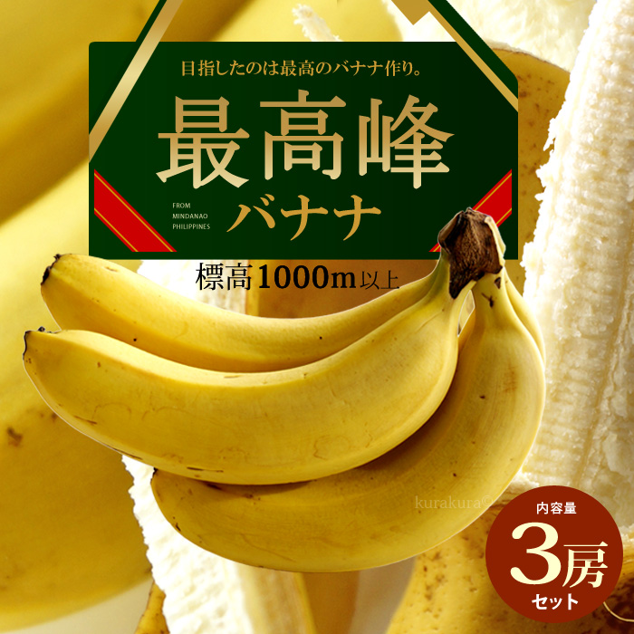 最高峰バナナ 約700g×3袋 フィリピン産 最大78%OFFクーポン バナナ 高糖度 甘い メーカー直売 ばなな 食品 フルーツ 果物 標高1000m以上の高地栽培 高級 送料無料