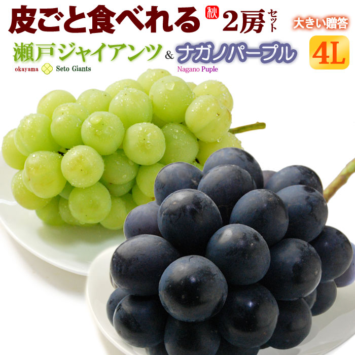 楽天市場】シャインマスカット ＆ ナガノパープル 4L×2房 (約1.2