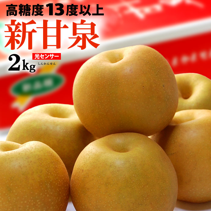 新甘泉梨(約2kg)鳥取産 新品種の赤梨 しんかんせん 糖度13度以上 高糖度 和梨 食品 フルーツ 果物 和梨 送料無料