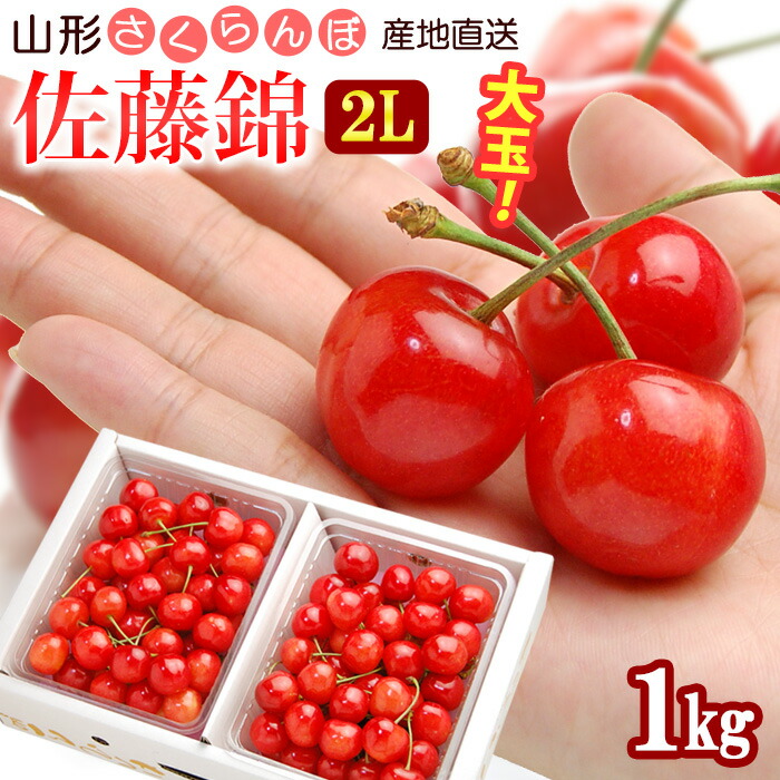山形 さくらんぼ 佐藤錦 (2L玉/1kg) 山形産 2025 露地栽培 秀品 サクランボ 1キロ 桜桃 チェリー cherry バラ詰め 6月 食品 フルーツ 果物 さくらんぼ 佐藤錦 ギフト 贈答 産地直送 甘い 人気 男性 女性 喜ばれる 2025 送料無料