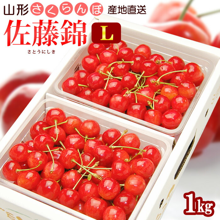 山形 さくらんぼ 佐藤錦 (L玉/1kg) 山形産 露地栽培 秀品 サクランボ 桜桃 チェリー cherry バラ詰め 6月 食品 フルーツ 果物 さくらんぼ 佐藤錦 ギフト 贈答 産地直送 甘い 人気 男性 女性 喜ばれる 2025 送料無料