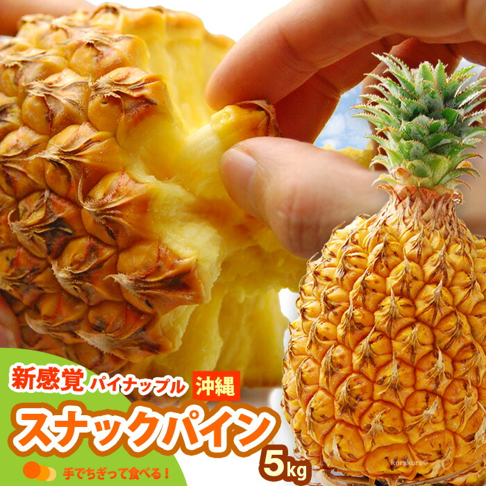 スナックパイン (約5kg) 沖縄産 パイナップル パイン ボゴールパイン ポコットパイン pine pineapple 手でちぎれる 食品 フルーツ 果物 パイナップル 高糖度 甘い 人気 男性 女性 喜ばれる 2025 送料無料