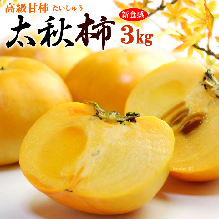 【楽天市場】太秋柿 (約2kg) 熊本・愛媛・福岡産 秀品 たいしゅうがき 柿 かき カキ persimmon 高級 甘柿 食品 フルーツ 果物 柿  ギフト 贈答 お供え 御供え 送料無料 : まいど！おおきに屋クラクラ