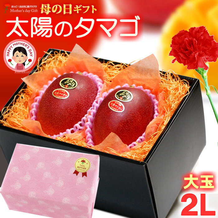 母の日 ギフト 太陽のタマゴ (2L×2玉/約700g) 宮崎産 赤秀～青秀 太陽のたまご 太陽の卵 たいようのたまご 2026 母の日ギフト 宮崎 完熟マンゴー 国産マンゴー ギフト 贈答 完熟 マンゴー 高糖度 甘い 食品 フルーツ 果物 マンゴー ラッピング 送料無料
