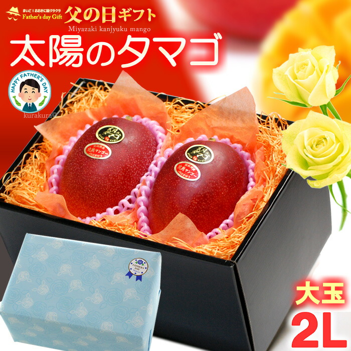 父の日 ギフト 太陽のタマゴ (2L×2玉/約700g) 宮崎産 赤秀～青秀 2025年 父の日ギフト 太陽のたまご 宮崎 宮崎マンゴー 完熟マンゴー 国産マンゴー アップルマンゴー アーウィン種 mango まんごー 贈答 国産 完熟 高糖度 甘い 食品 フルーツ 果物 マンゴー 送料無料
