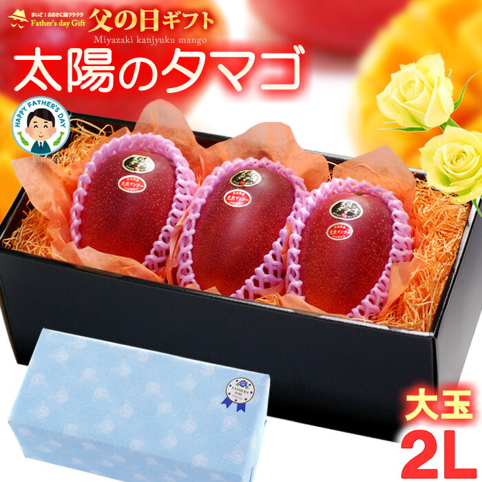 父の日 ギフト 太陽のタマゴ (2L×3玉/約1kg) 宮崎産 赤秀～青秀 2025年 父の日ギフト 太陽のたまご 宮崎 宮崎マンゴー 完熟マンゴー 国産マンゴー アップルマンゴー アーウィン mango まんごー 贈答 国産 完熟 高糖度 甘い 食品 フルーツ 果物 マンゴー ラッピング 送料無料