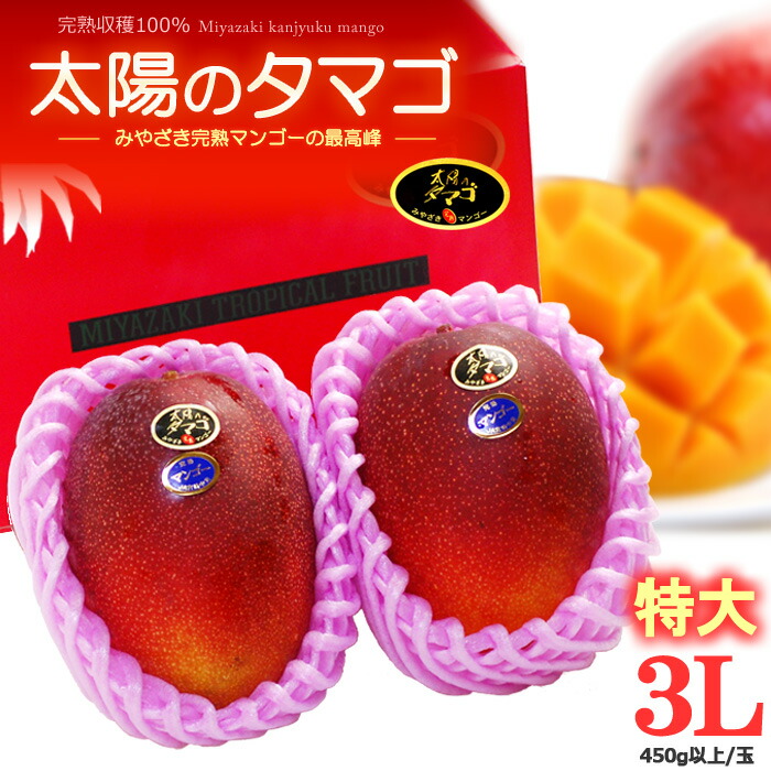 太陽のタマゴ (3L×2玉/約1kg) 宮崎産 赤秀～青秀 太陽のたまご たいようのたまご 宮崎完熟マンゴー 国産マンゴー アップルマンゴー アーウィン ギフト 贈答 国産 完熟 マンゴー 高糖度 甘い 食品 フルーツ 果物 マンゴ 母の日 父の日 お中元 御中元 御供え お供え 送料無料