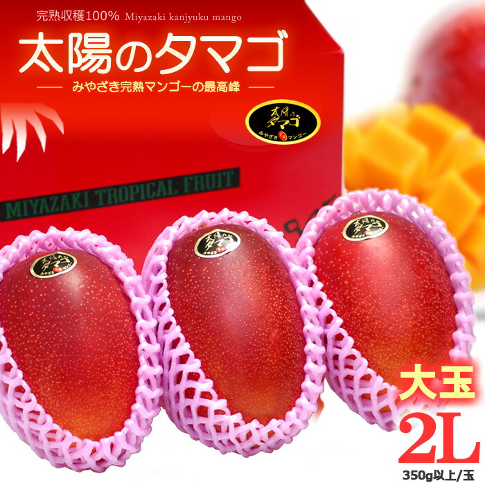 太陽のタマゴ (2L×3玉/約1kg) 宮崎産 赤秀～青秀 太陽のたまご たいようのたまご 宮崎完熟マンゴー 国産マンゴー アップルマンゴー アーウィン ギフト 贈答 国産 完熟 マンゴ 高糖度 甘い 食品 フルーツ 果物 マンゴー 母の日 父の日 お中元 御中元 御供え お供え 送料無料
