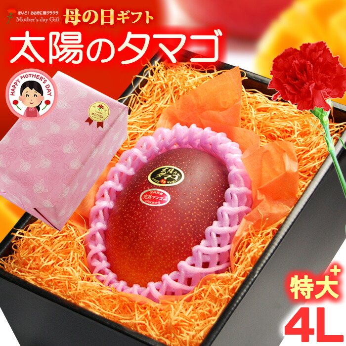 母の日 ギフト 太陽のタマゴ (4L×1玉/約510g以上) 宮崎産 赤秀～青秀 太陽のたまご 太陽の卵 たいようのたまご 2026 母の日ギフト 宮崎 完熟マンゴー 国産マンゴー ギフト 贈答 国産 完熟 マンゴー 高糖度 食品 フルーツ 果物 マンゴー ラッピング 送料無料