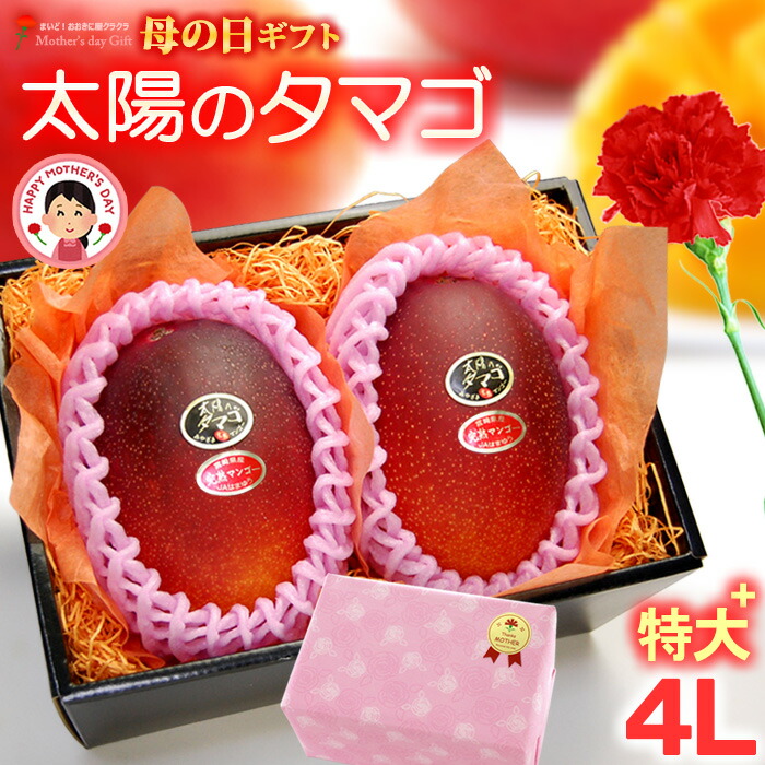 母の日 ギフト 太陽のタマゴ (4L×2玉/約1020g以上) 宮崎産 赤秀～青秀 太陽のたまご 太陽の卵 たいようのたまご 2026 母の日ギフト 宮崎 完熟マンゴー 国産マンゴー ギフト 贈答 国産 完熟 マンゴー 高糖度 甘い フルーツ 果物 マンゴー 送料無料