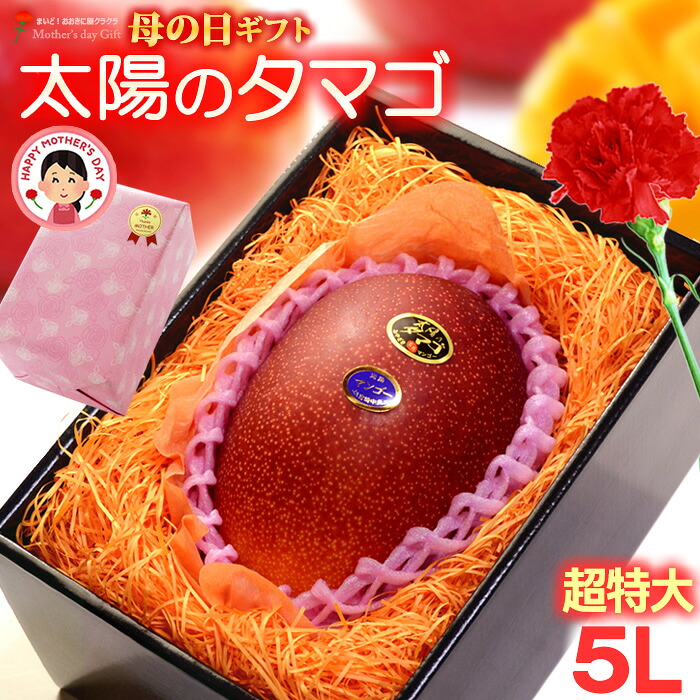 母の日 ギフト 太陽のタマゴ (5L×1玉/約650g以上) 宮崎産 赤秀～青秀 太陽のたまご 太陽の卵 たいようのたまご 2026 母の日ギフト 宮崎 完熟マンゴー 国産マンゴー ギフト 贈答 国産 完熟 マンゴー 高糖度 食品 フルーツ 果物 マンゴー 送料無料
