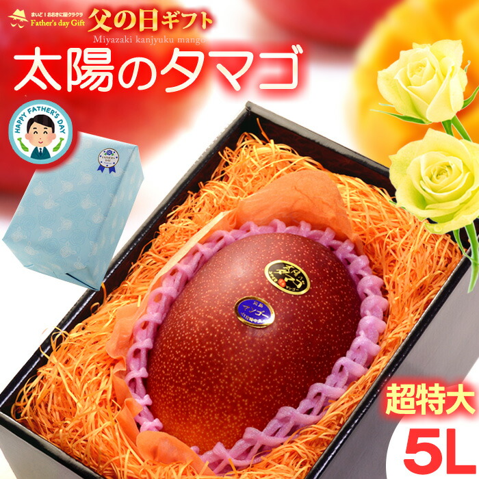 父の日 ギフト 太陽のタマゴ (5L×1玉/約650g) 宮崎産 赤秀～青秀 2025年 父の日ギフト 太陽のたまご 宮崎 宮崎マンゴー 完熟マンゴー 国産マンゴー アップルマンゴー アーウィン種 mango まんごー 贈答 国産 完熟 高糖度 甘い 食品 フルーツ 果物 マンゴー 送料無料