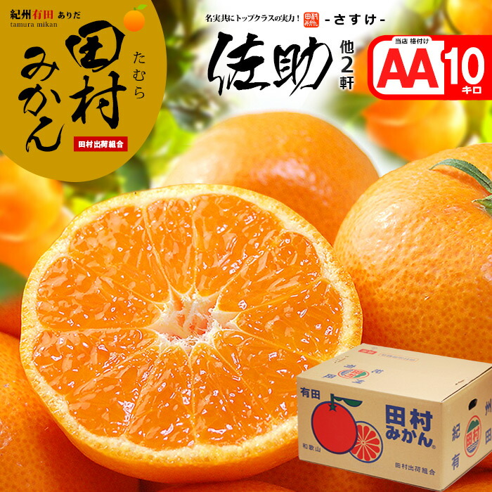 金華山みかん村ページです☆ 発送は6月から』 山北ハウスみかん 1.2kg – TABEGORO 土佐山田