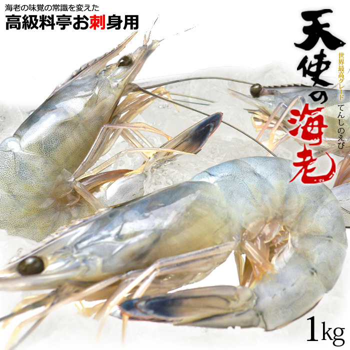 楽天市場 天使の海老 1kg ニューカレドニア産 天使のエビ 30 40 1kg 生食用 てんしのえび クオリサート認定 エビ 海老 えび 食品 魚介類 水産加工品 エビ 送料無料 まいど おおきに屋クラクラ