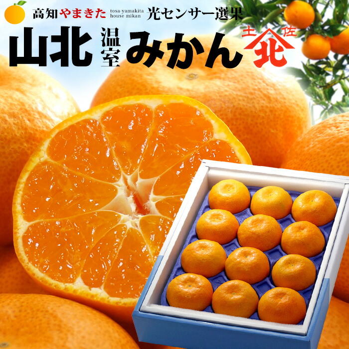 長崎マルナン「せとか」個選。◯箱セット 長崎マルナン「せとか」個選。◯箱セット