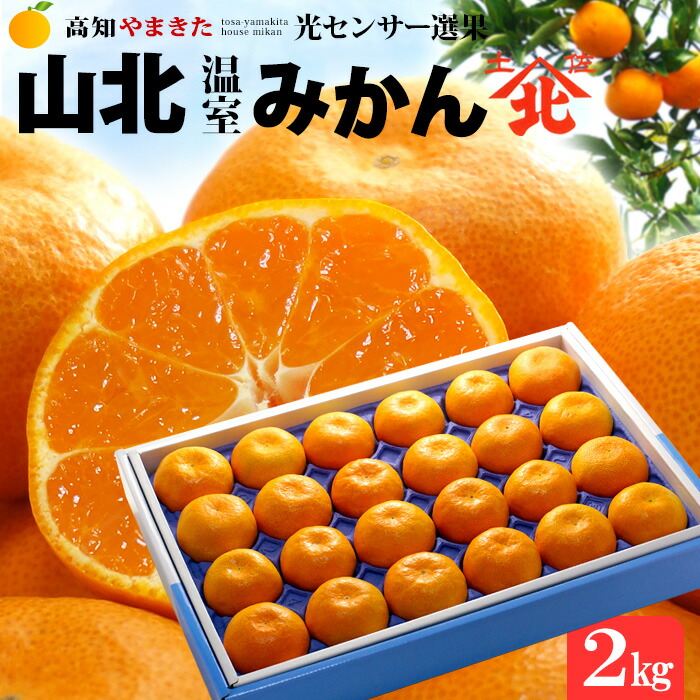 ハウスみかん 山北みかん (約2kg) 高知産 山北温室みかん 温室みかん 秀品 S M 小玉 2キロ 光センサー ハウス栽培 温室みかん部会 mandarin orange 高糖度 食品 フルーツ 果物 みかん 温州みかん ミカン 蜜柑 化粧箱 ギフト 贈答 お中元 御中元 御供え お供え 送料無料