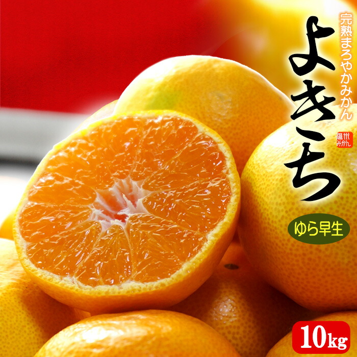 長崎県産　味まるみかん　S〜M　約10kg　秀品 味まるみかん 約10kg 産地箱 秀品 L〜Mサイズ 中玉以上限定 最低