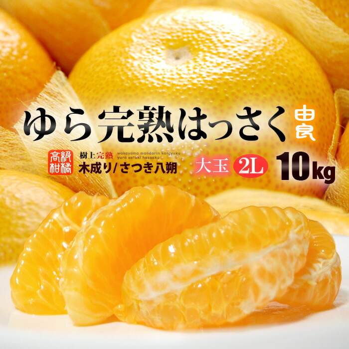 楽天市場】紀州柑橘統合選果施設 ゆら八朔・さつき八朔 (約3kg) 和歌山
