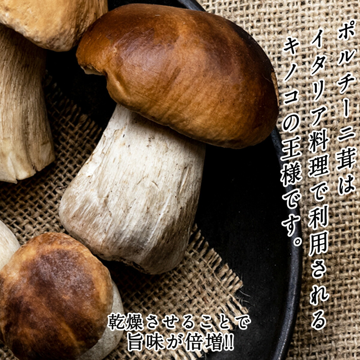 激安特価品 ポルチーニ茸 100ｇ 送料無料 高級きのこ ポルチーニ 乾燥ポルチーニ ドライポルチーニ パスタ リゾット Toyama Nozai Co Jp