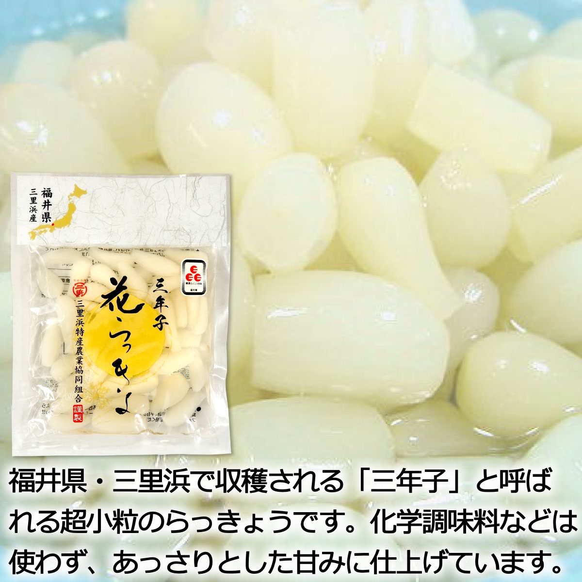 送料無料 メール便 国産 らっきょ 2種セット 福井県産花らっきょう 鳥取砂丘らっきょう 漬物 鳥取県 福井県 らっきょう カレーのお供 ご飯のお供 無料発送