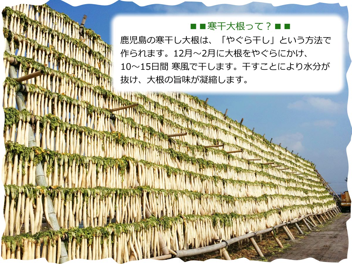 市場 送料無料 大容量 120g×4袋国産 漬物 たまり漬け 一口サイズ 醤油漬け やぐら大根 寒干大根 たくあん 九州産 メール便