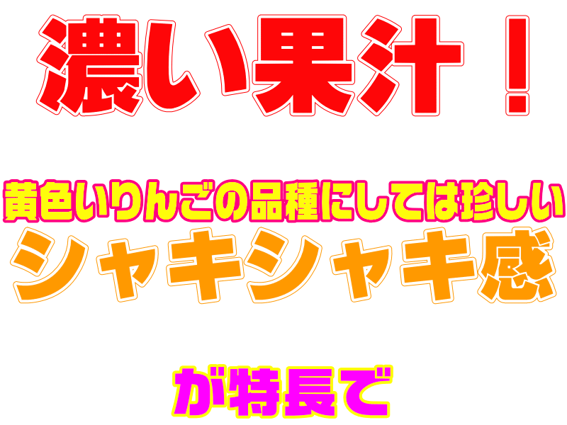 【常温便送料無料】【数量限定】甘味と酸味の調和!「シナノゴールド家庭用5キロ」果汁が豊富でジューシィ〜ッ!名前はシナノだけど青森県産!毎日のフルーツや、贈り物にもピッタリ♪【青森県産】【RCP】【楽天】
