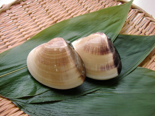 楽天市場】【鮮魚】国産蛤〈ハマグリ〉大1Kg前後、5〜8個前後 : 【築地