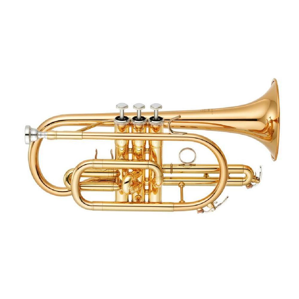 楽天市場】ヤマハ コルネット YCR-2330III : 管楽器専門店 永江楽器