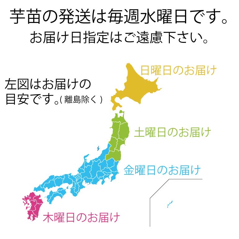 楽天市場 さつまいも 苗 べにはるか 1束10本 鹿児島産 プロジェクト鹿児島