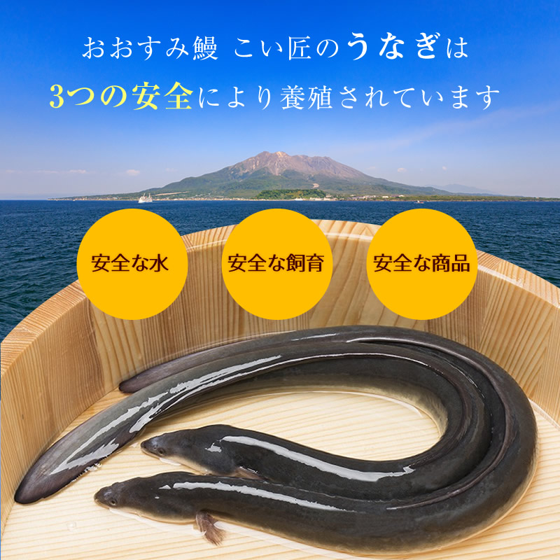 九州産うなぎの蒲焼ニコニコセット約400g