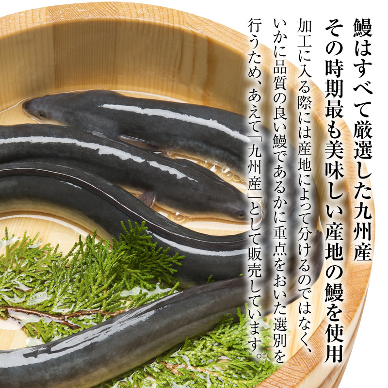 九州産うなぎの蒲焼ニコニコセット約400g