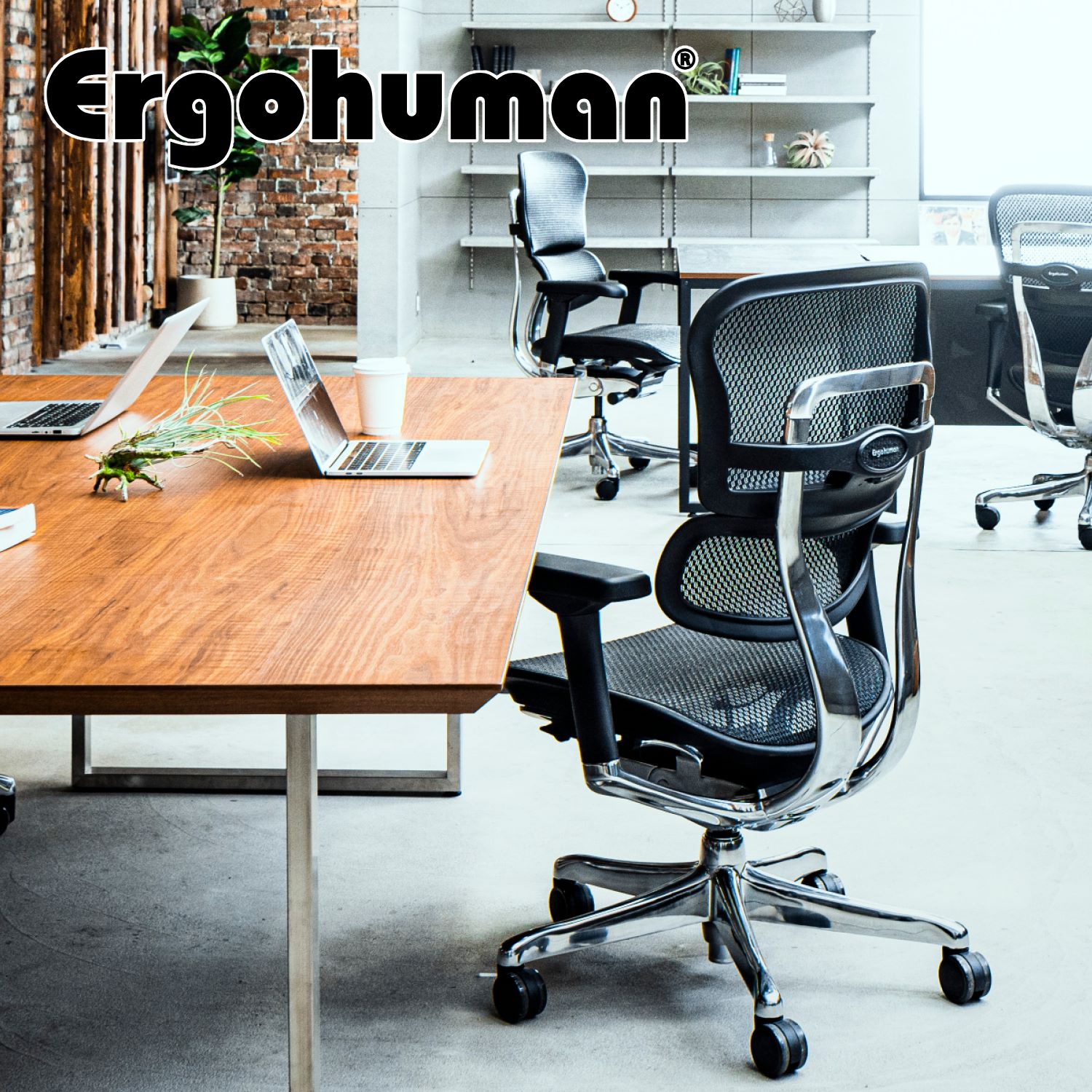楽天市場】エルゴヒューマン ロウタイプ Ergohuman オフィスチェア 