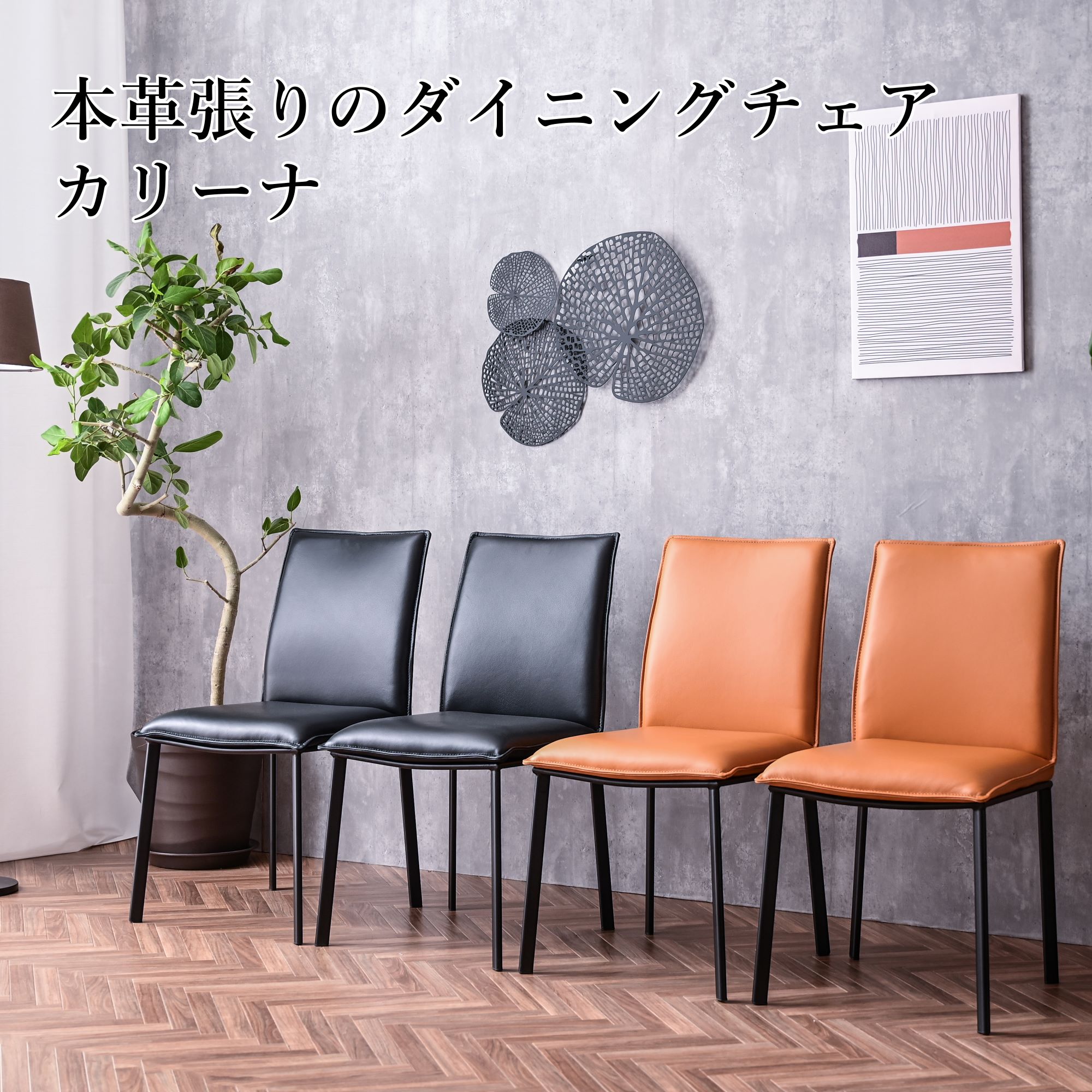 カリーナ ダイニングチェア チェア イス 本革 椅子 革張り ダイニング 数量限定 2脚入り 2個セット