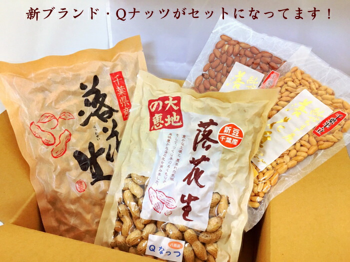 八街産 炒り落花生 Qナッツ 新豆 千葉県八街産落花生Qなっつの新豆販売開始しました【2023年度新豆】