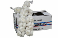＜箱売り＞　中国にんにく（ニンニク）　１箱（約１０ｋｇ/１ｋｇ×１０ネット）　中国産　＜業務用・大量販売＞＜RCP＞