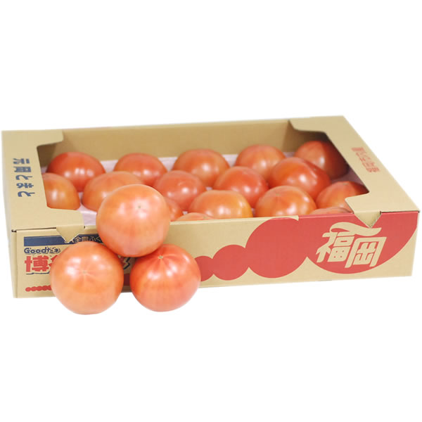 ＜トマト＞＜箱売り＞　九州産　礫耕栽培　元岡とまと（とまと・トマト）　１箱（4ｋｇ/２０玉～２４玉入り）　九州・福岡産　＜業務用・大量販売＞　＜RCP＞