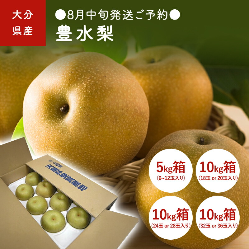 呉羽梨 幸水 10kg 中玉サイズ以上 規格外 047