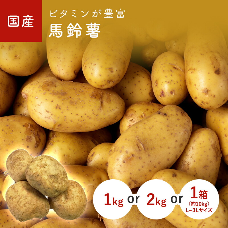 楽天市場】ブラウンえのき 100g1パック 国産 : 大津留青果