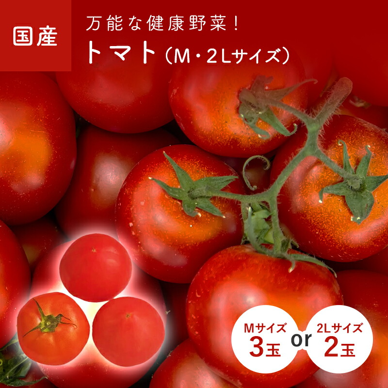 putitomato発送時間かかること有② putitomato発送時間かかること有② putitomato発送時間かかる