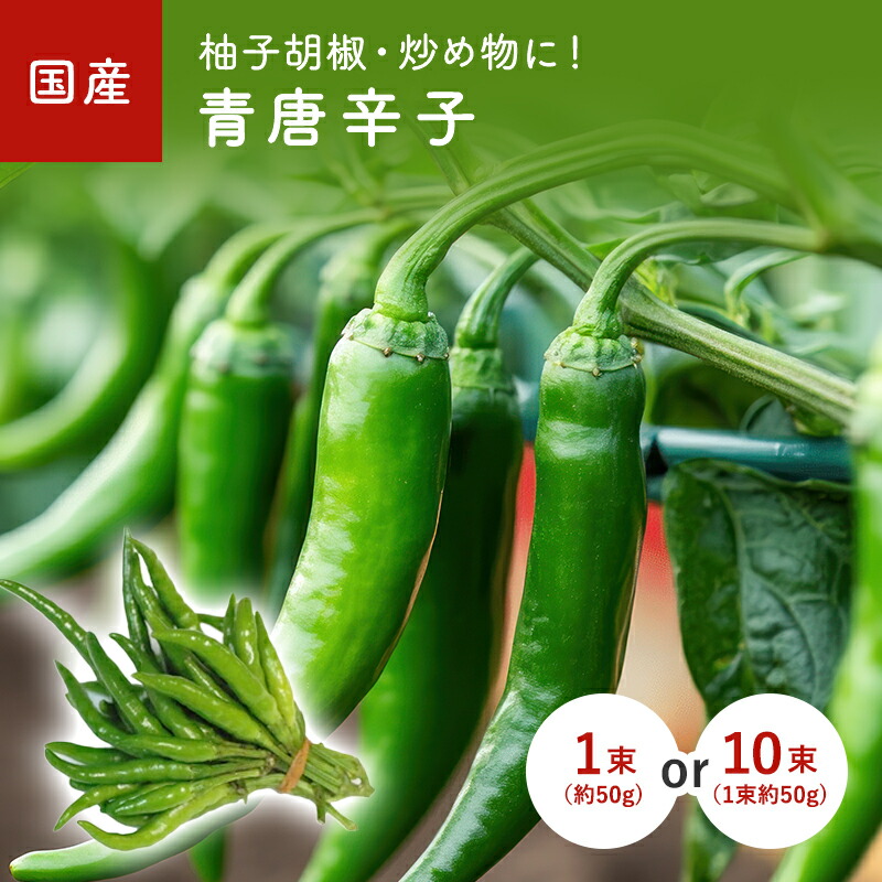 楽天市場】国産青唐辛子〈アオトウガラシ〉1パック、300g前後 : 【築地