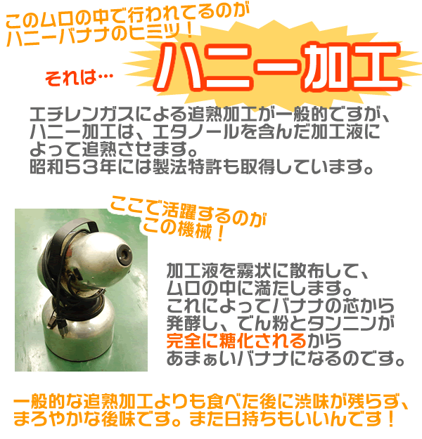 【箱売り】ハニーバナナ(バナナ)1箱(約12kg/4〜5房)エクアドル産みんな大好き甘いバナナ!!【業務用・大量販売】【RCP】