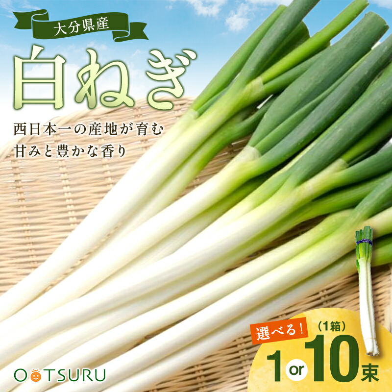 大分県産 採れたて白ネギ（極太）6kg×2ケース 大分県産 採れたて白ネギ（太め）6kg | 野菜/ねぎ 産直アウル