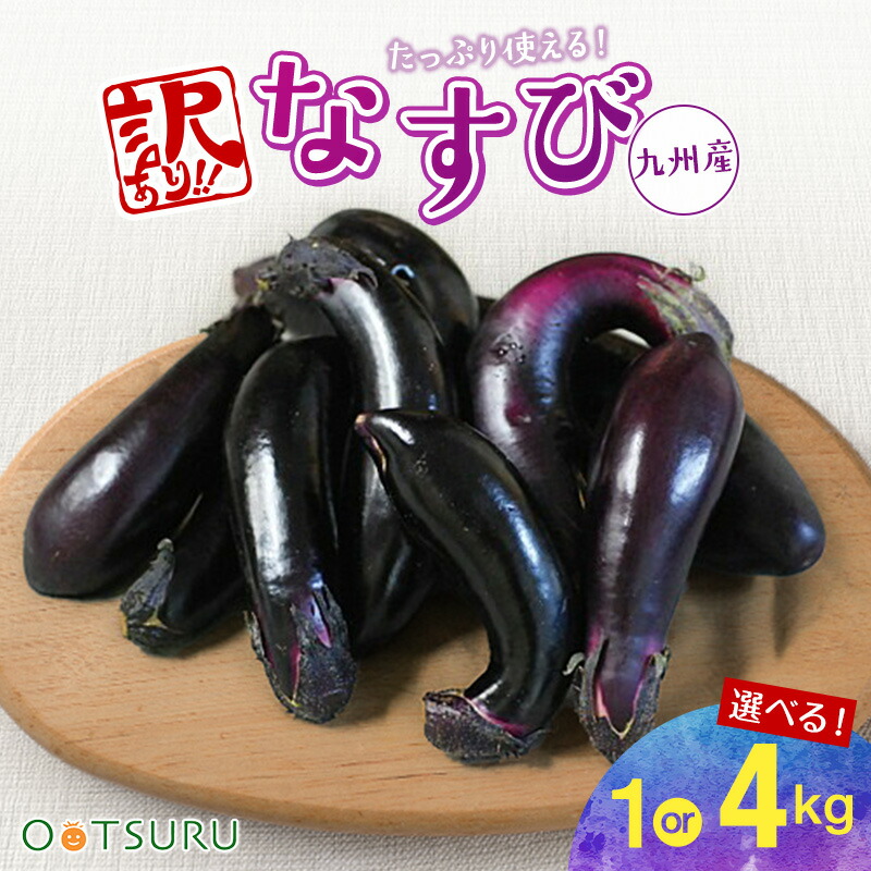 楽天市場】九州産 果肉が柔らかい！ 長茄子（長ナス・長なす・なすび