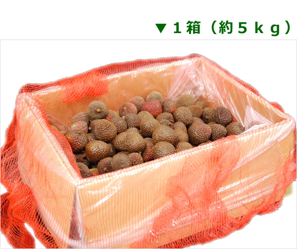 令和8年6月上旬発送予約＜ライチ＞ 玉荷包（ユイハァパオ） 1箱（約5kg） 台湾産 ＜6月上旬～発送＞