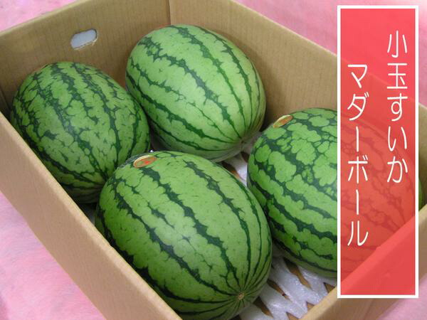 ＜スイカ＞　九州産　マダーボール（小玉スイカ・スイカ・西瓜）　１箱　（４～６玉入り）　九州の安心・安全な果物！　九州・長崎・大三東産　＜５月上旬～発送＞＜RCP＞