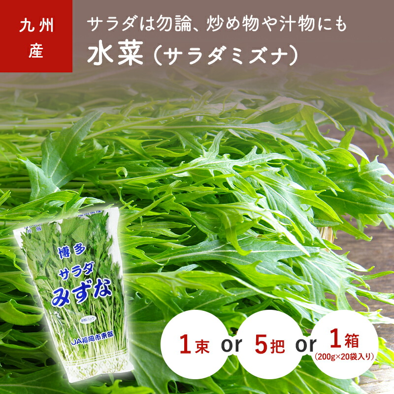楽天市場】水菜〈ミズナ〉1パック、200g前後 : 【築地通販】おいしいな